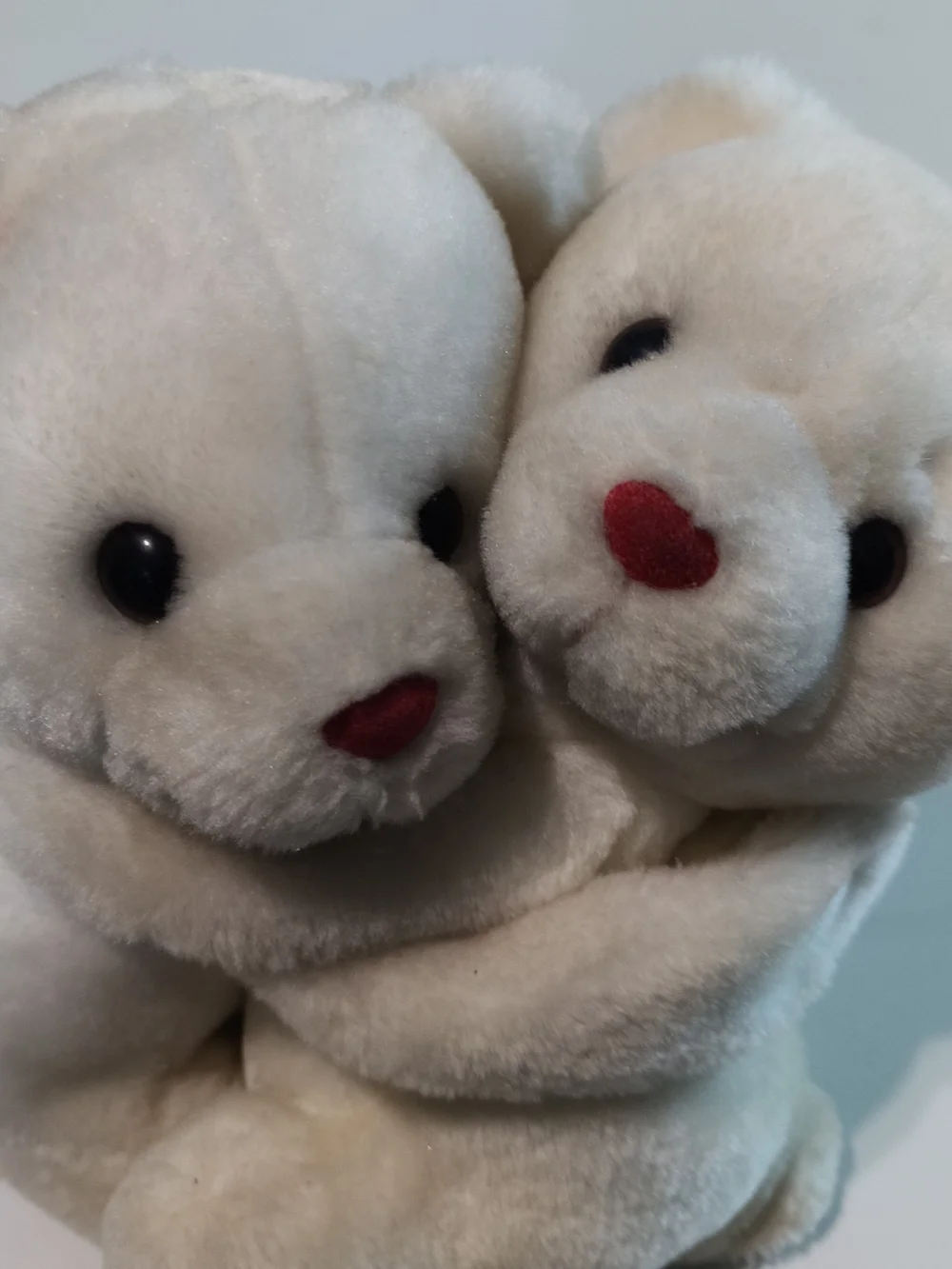 Ebee two hugging